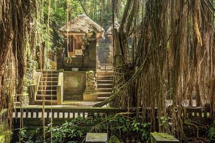 Ubud: Waterfall, Rice Terraces, and Monkey Forest Private Tour