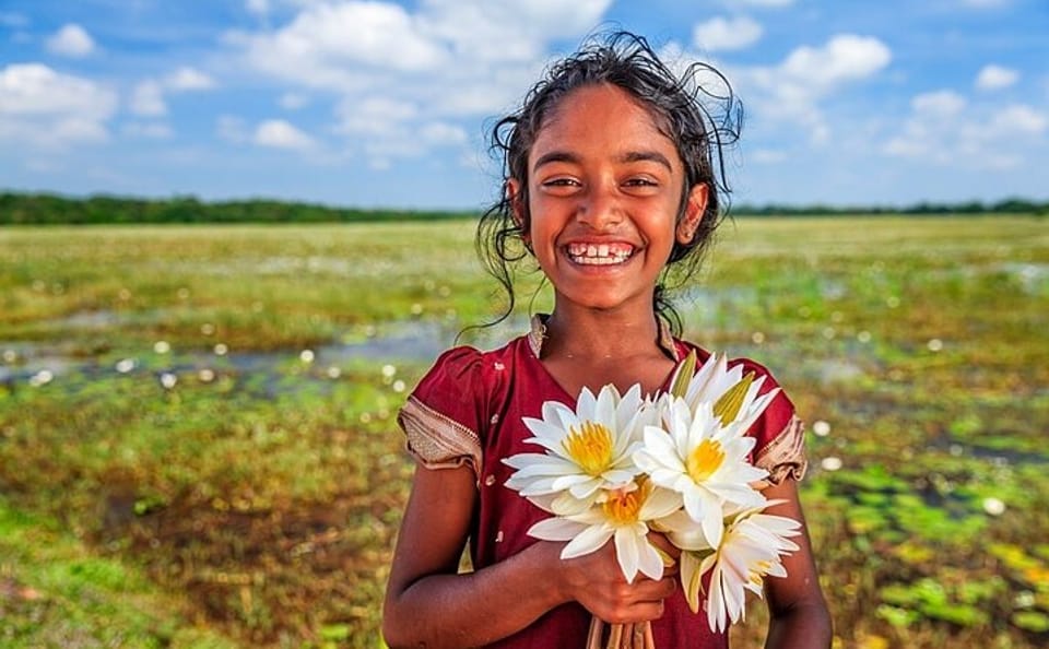 22-Day Nature and Culture Tour of Sri Lanka: Colombo, Kandy, Bentota