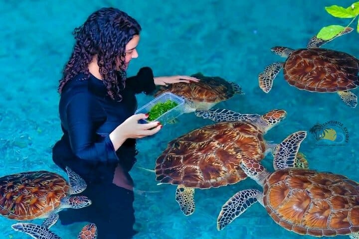 Zanzibar Prison Island, Jozani Forest and Salaam Cave Sea Turtles