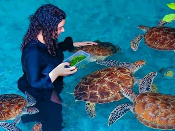 Jozani Forest and Salaam Cave Turtle Tour in Zanzibar