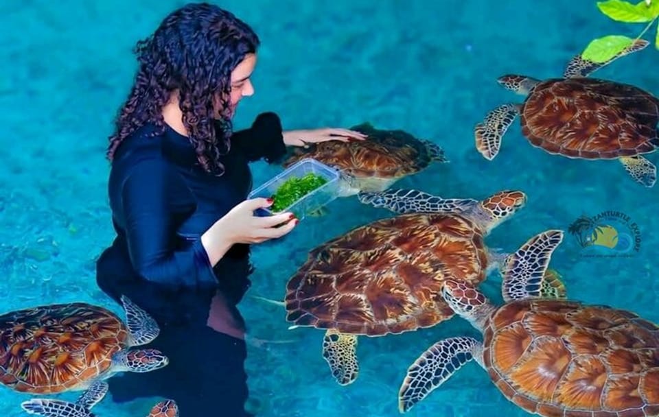 Jozani Forest and Salaam Cave Turtle Tour in Zanzibar