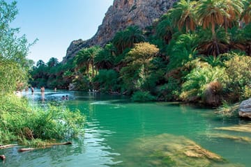 Private Tour: Preveli Palm Beach From Chania