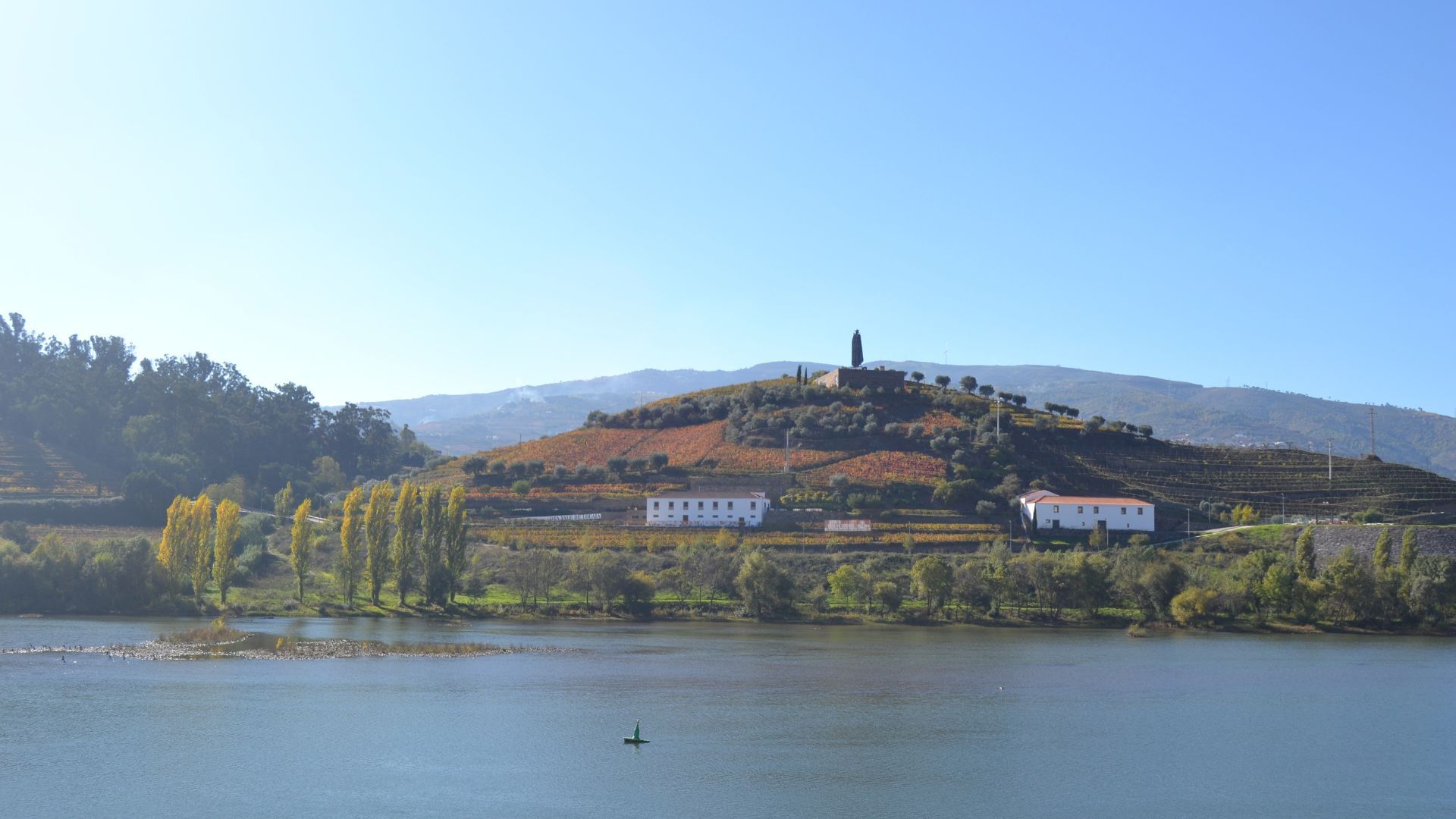 Image of a view from Régua over the Douro River on Cooltour Oporto's Douro Valley Wine Tour from Porto