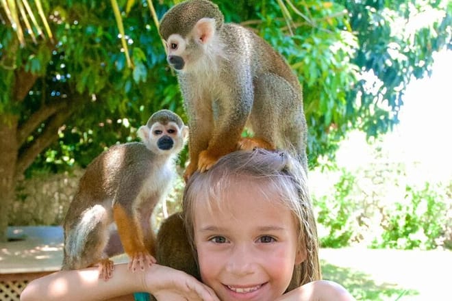 3x1: Monkeyland Waterfalls and Buggy Tour Puerto Plata 9
