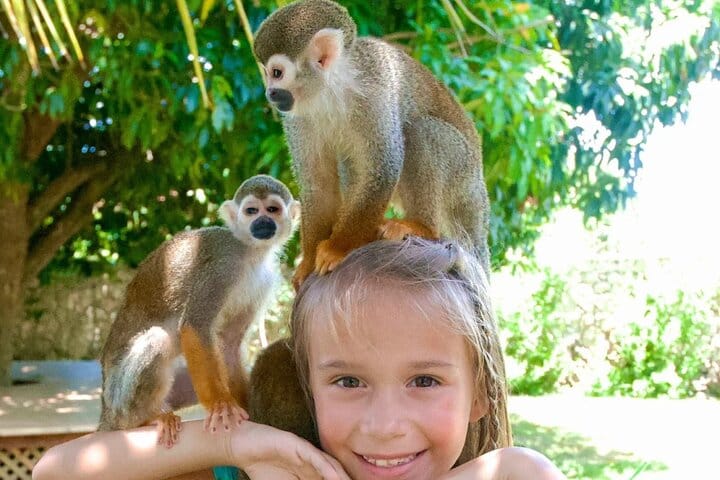 3x1: Monkeyland Waterfalls and Buggy Tour Puerto Plata 9
