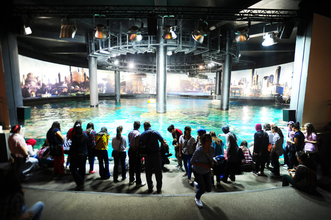 Istanbul: Aquarium Ticket with Shuttle Transfers photo 6