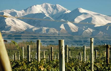4-Days Trip to Mendoza and The Andes