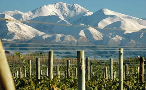 4-Day Adventure Tour of Mendoza and the Andes Mountains