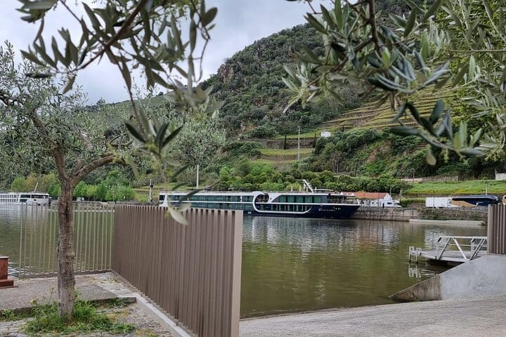 DOURO VALLEY & AMARANTE: Scenic or Wine Experience Private Tour