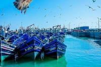 Marrakech to Essaouira Private Full-Day Tour