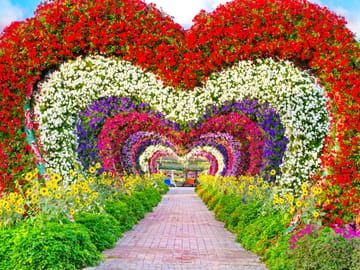 Dubai Miracle Garden and Burj Khalifa Tour with Shopping