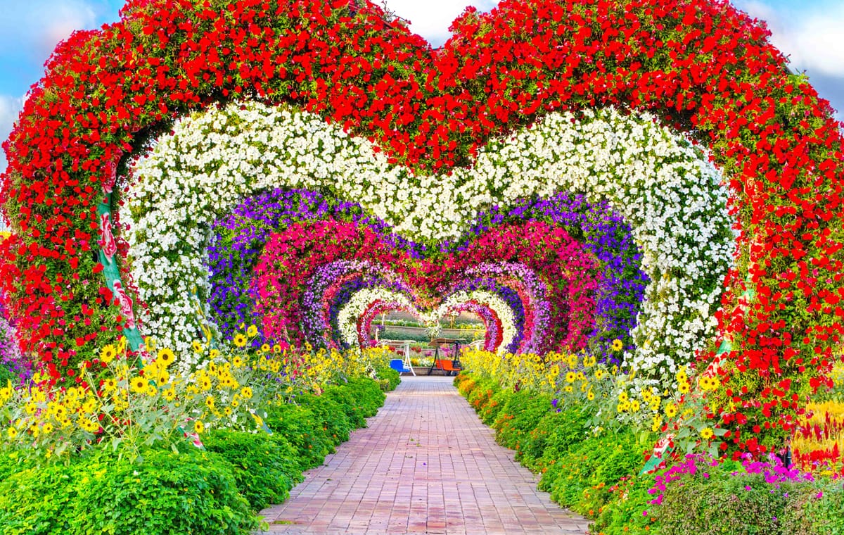 Dubai Miracle Garden, Dubai Mall Shopping, Burj Khalifa 124/125th floor and Musical Fountain Show tour with Private Transfers