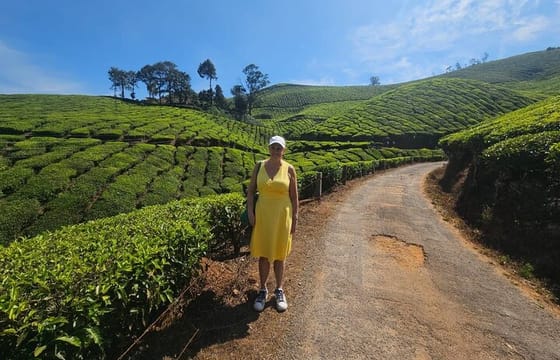 Cochin to Munnar Tranquil Trails