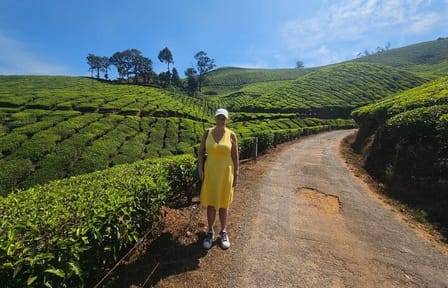 Kochi to Munnar Scenic Three-Day Nature Tour