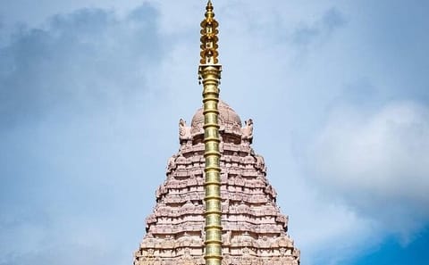 Private Day Tour of Great Living Chola Temples in Kumbakonam and Thanjavur