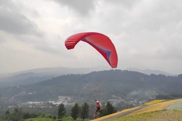 Bogor Puncak “Tea Plant & Paragliding” Interactive Private Driver