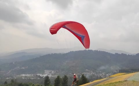 Bogor Puncak Tea Plantation Tour with Paragliding Experience