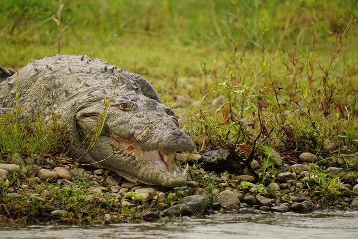 Jaipur Heritage walk Tour