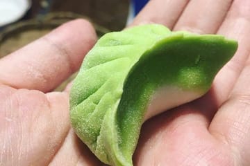 Chengdu Dumpling Cooking Class: Make Traditional Dumplings