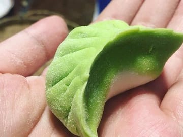 Half day Chengdu Dumpling Class: Make from Scratch