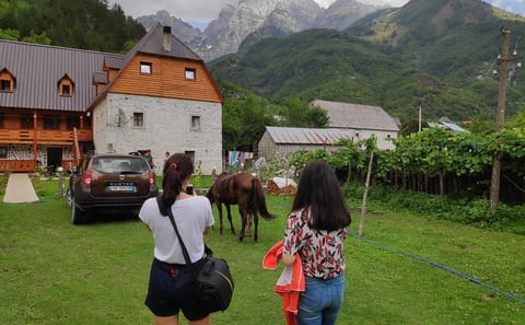 Hiking Adventure in Albania's Peaks of the Balkans
