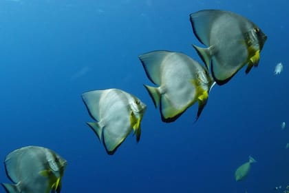 Adventure and Cultural Exploration in Marsa Alam, Egypt