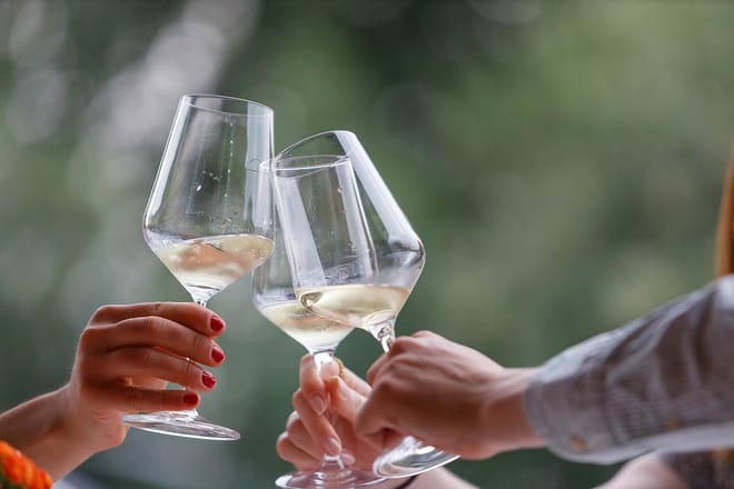 Winery Tour and Tasting of Garda Wines 3