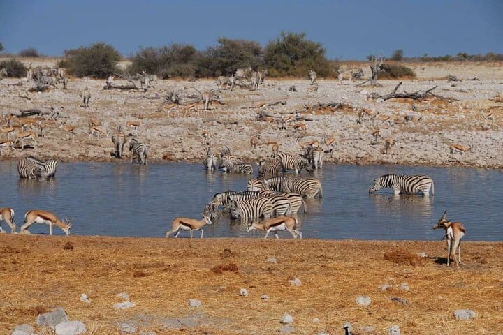 Things to do in Namibia