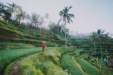 Private Cultural Tour of Ubud's Highlights in Gianyar