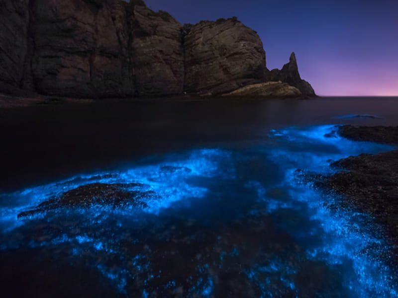 Pingtan Island 3-Day Private Photography Tour: Blue Tears, Windmill Coast & Stone Villages