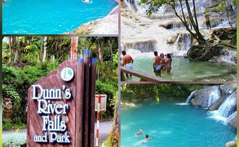Dunn's River Falls and Bob Marley Mausoleum Full-Day Tour