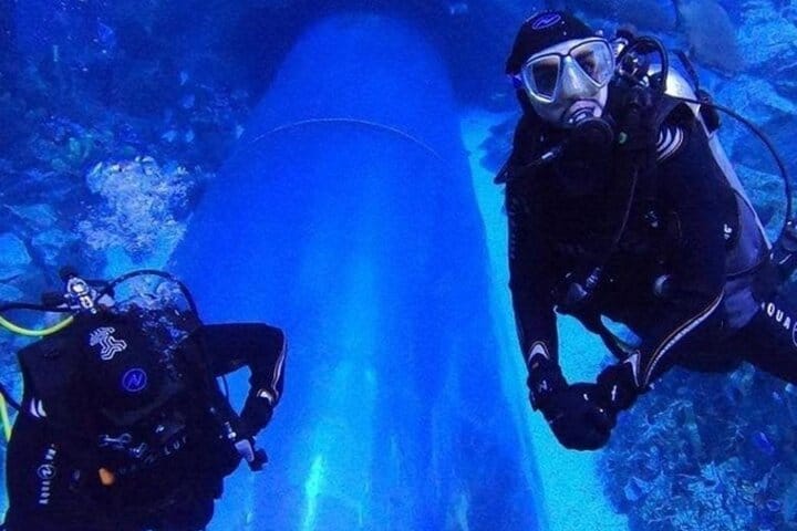Dubai Aquarium + underwater Zoo & Penguin Cove