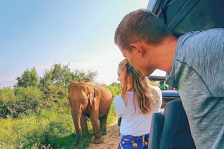 Udawalawe National Park Adventure