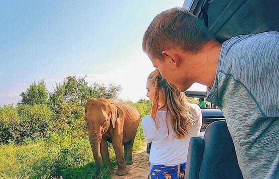 Udawalawe National Park Private Safari