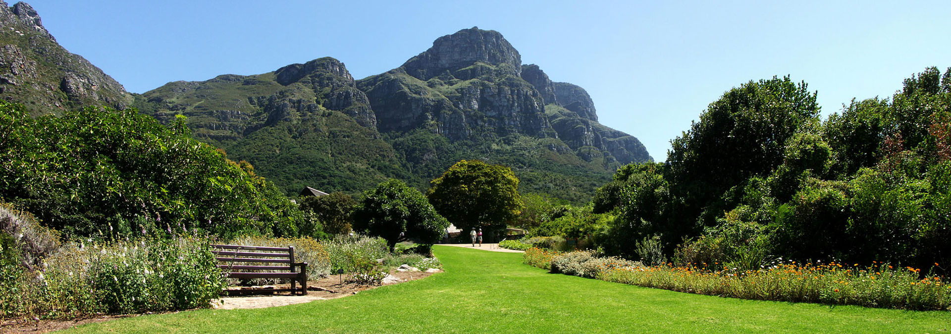 Spectacular Table Mountain and Kirstenbosch Gardens. Cape Town. Guided