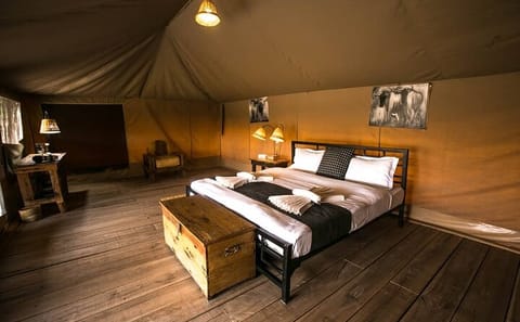 3-Day Group Safari Adventure in Arusha, Tanzania