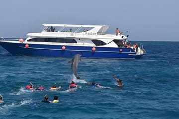 Snorkeling and Dolphin Swimming Tour at Orange Bay, Egypt