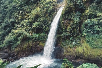 Poás Volcano and Coffee Tour with Tasting and La Paz Falls