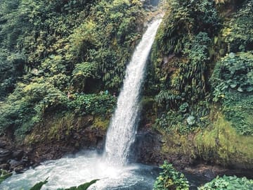 Poás Volcano and Coffee Farm Tour with Tasting in Costa Rica