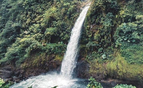 Poás Volcano and Coffee Farm Tour with Tasting in Costa Rica