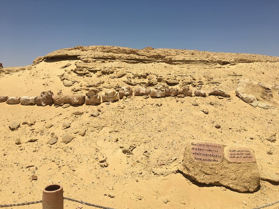 Cairo Multi Days Tour