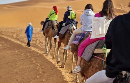 Luxury 2-Day Desert Adventure Tour from Fes to Errachidia