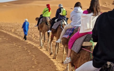 Luxury 2-Day Desert Adventure Tour from Fes to Errachidia