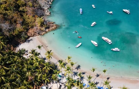 Visit Tortuga Island with Lunch from San José