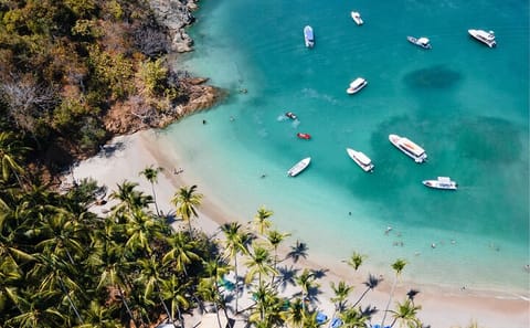 Day Trip to Tortuga Island with Lunch from San José