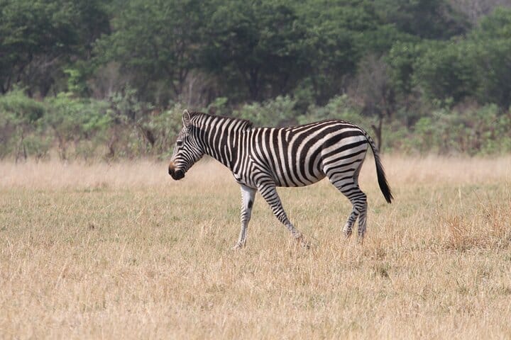 15 minutes scenic helicopter flight above Victoria Falls-Zimbabwe