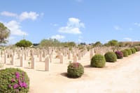 Alexandria : Private El Alamein War Tour from Alexandria 1