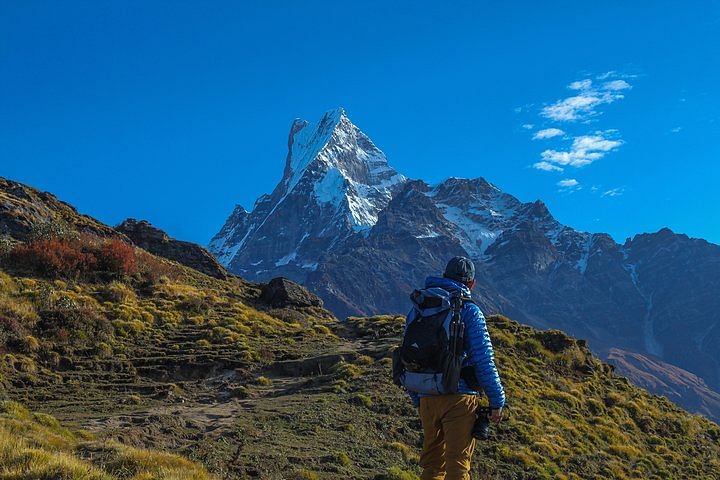 Mardi Himal Trek: Explore Hidden Gem of the Himalayas in Nepal