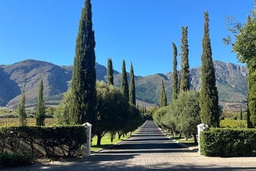 Franschhoek Wine Tram and Wine Tasting Tour with Tram Ticket