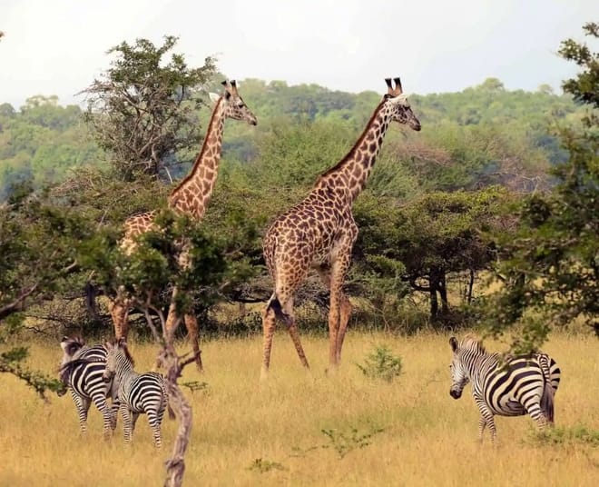 5 Day Mt Meru Trekking photo 2